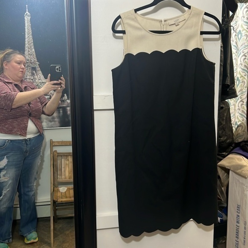 Loft, size 6 cream and black scalloped design women’s dress